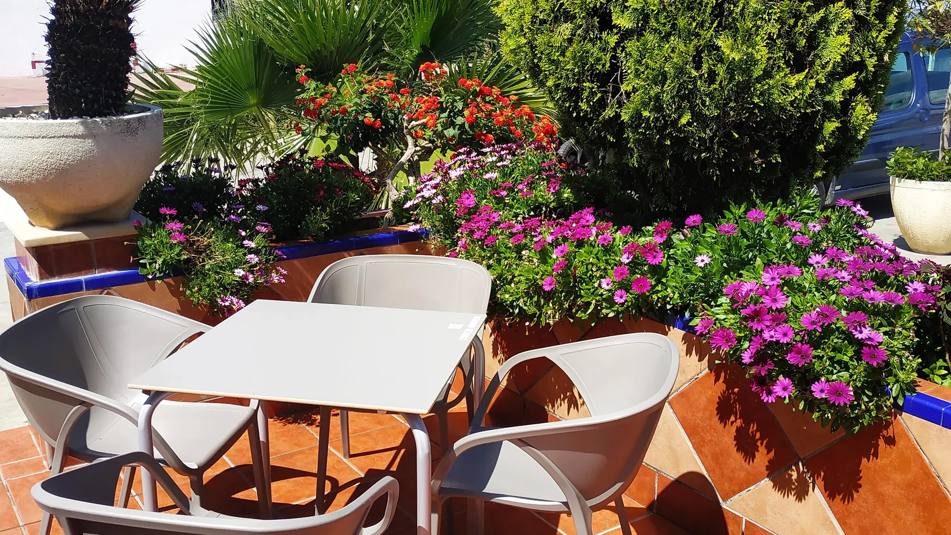Hotel Carmen La Carlota 3*,  Spain
